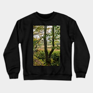 Autumn Tree Landscape Scene Crewneck Sweatshirt